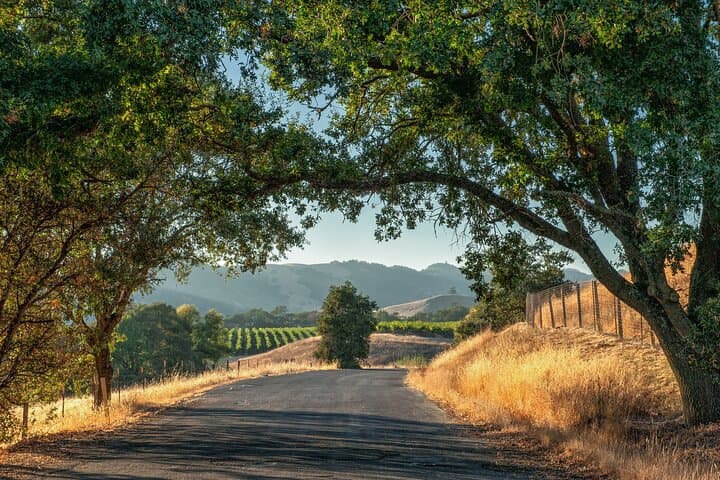 Passeio privado de vino de día completo por Napa y Sonoma imagen 4