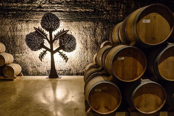 Excursión privada de un día a la región vinícola de Rioja desde Bilbao imagen 3