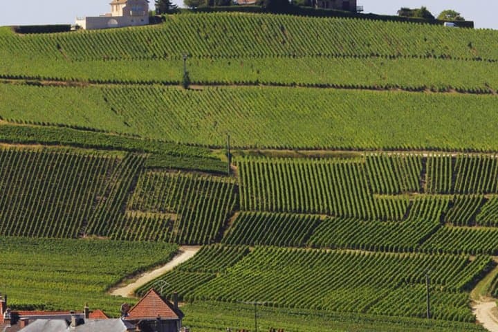 Excursion privée d'une journée de Paris vers la Champagne et la région de Reims image 1