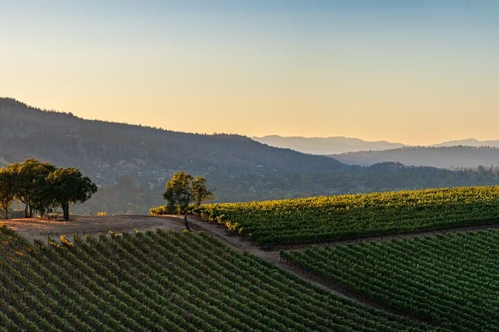 Passeio privado de vino de día completo por Napa y Sonoma imagen 1