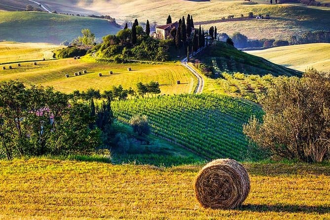 Val d'Orcia desde Florencia con almuerzo y catas