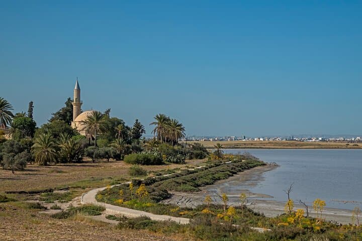 Larnaca Airport pickup with 1-hour coastal sightseeing tour image 5