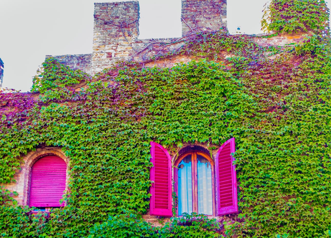 Toscana desde Florencia: pueblos, vino y clase de cocina imagen 5