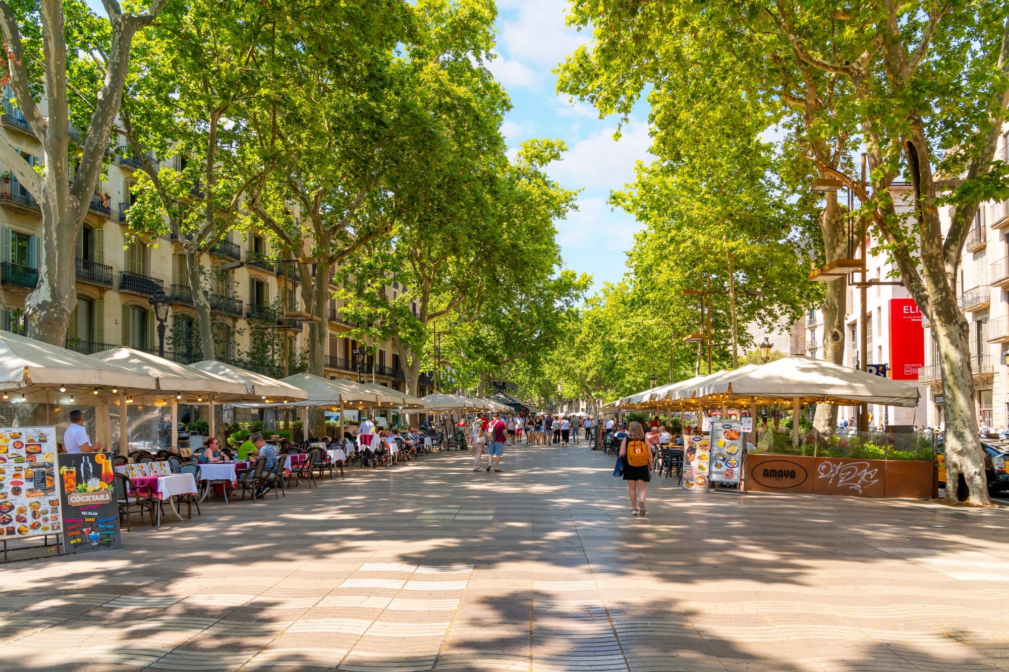 Visite privée de 2 heures à Barcelone image 5
