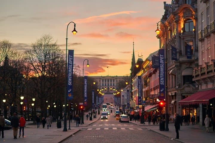 Tour privado nocturno por Oslo: luces de la ciudad y vistas al fiordo imagen 4