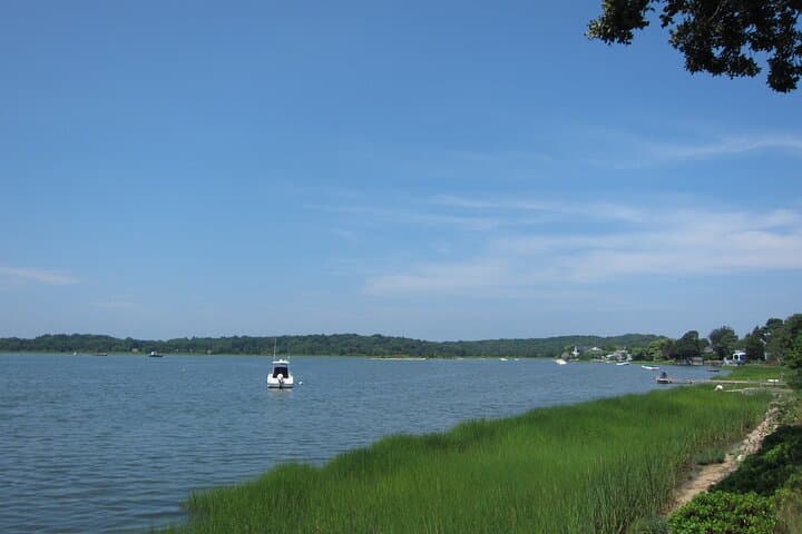 Escape privado a la costa de Hamptons desde Nueva York imagen 4