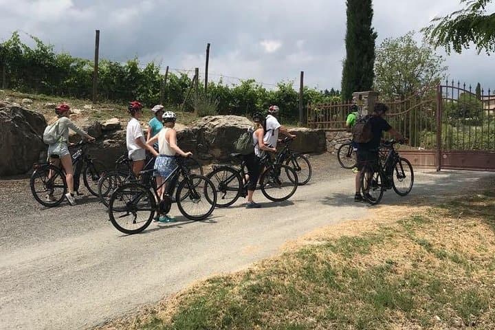 Chianti Bike Tour from Florence image 2