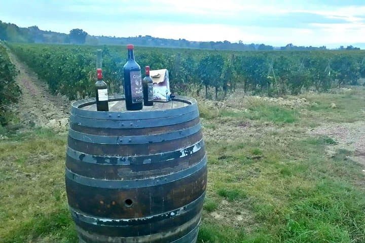 Chianti Bike Tour from Florence image 6