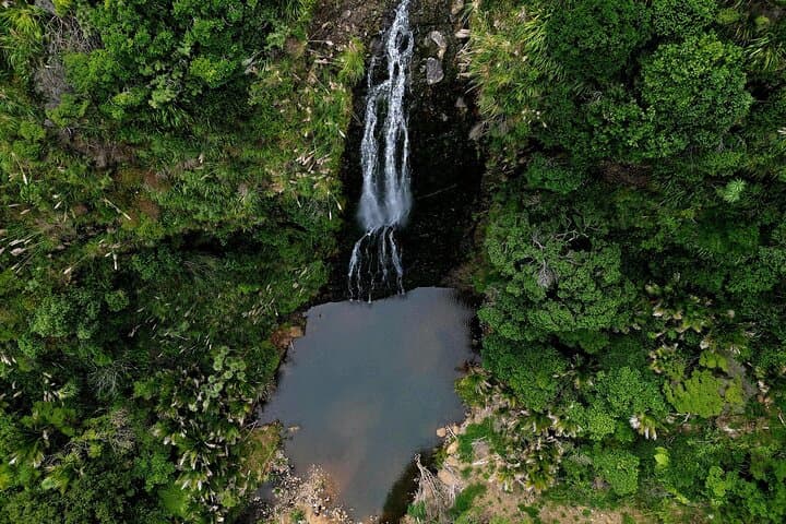 Visite des plages et de la forêt tropicale de la côte ouest d'Auckland image 3