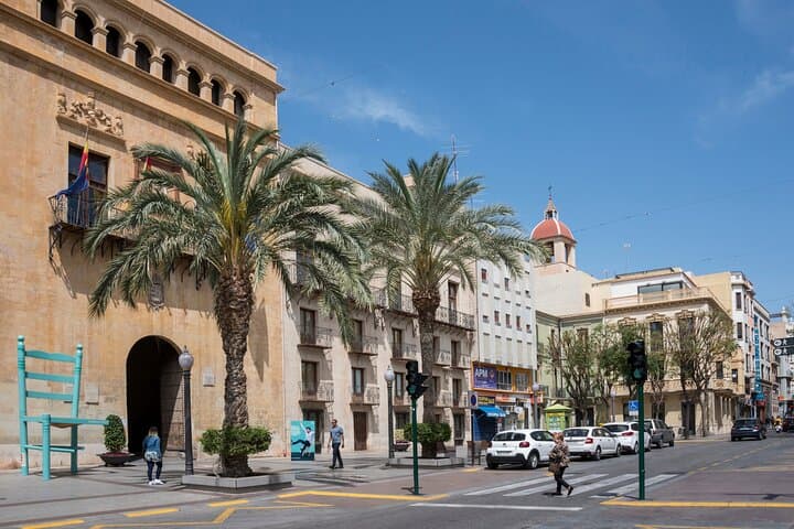 Visite privée d'une demi-journée à Elche depuis Alicante image 3