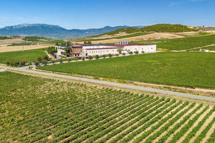 Excursión privada de un día a la región vinícola de Rioja desde Bilbao imagen 5