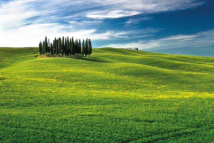 San Gimignano, Chianti y Montalcino desde Siena imagen 6