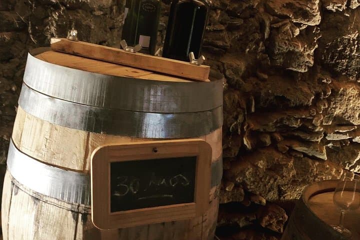 Tour privado de vino y comida por el valle del Duero desde Oporto imagen 5