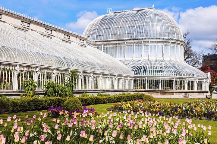 Tour privado por Belfast: cultura, historia y encanto moderno imagen 3