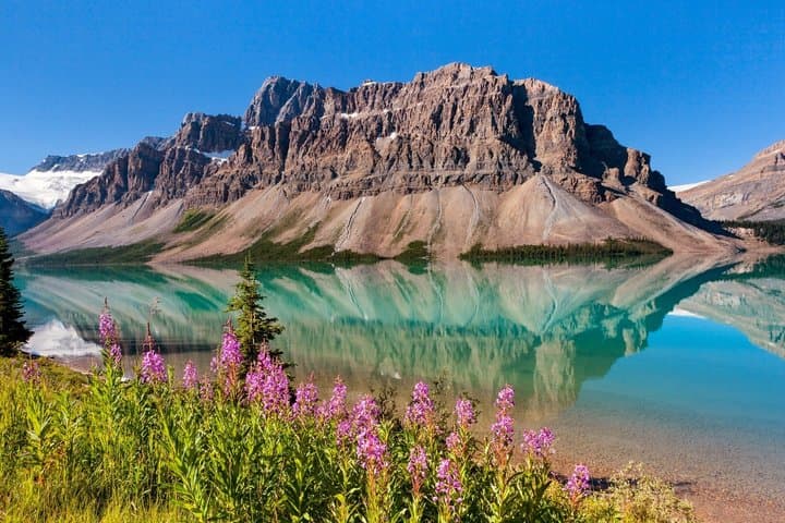 Tour privado de Icefields Parkway Campo de hielo y glaciares de Columbia imagen 5