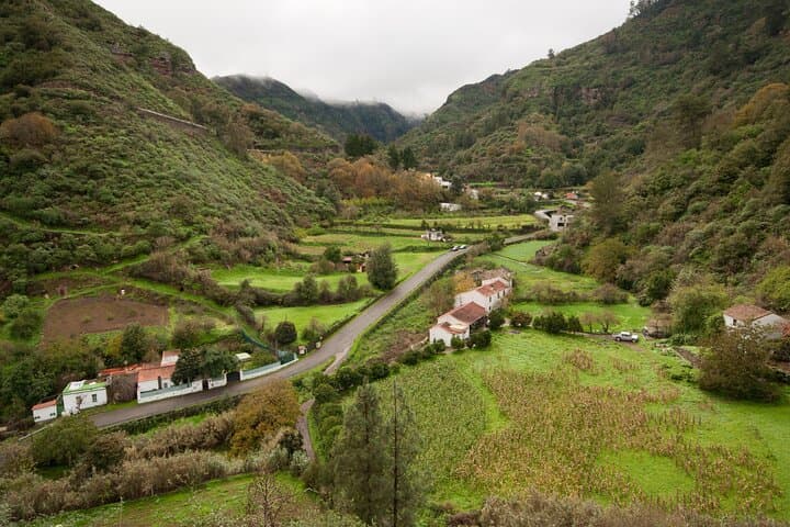 Visite d'une journée complète à Gran Canaria : villes historiques et merveilles de montagne image 5