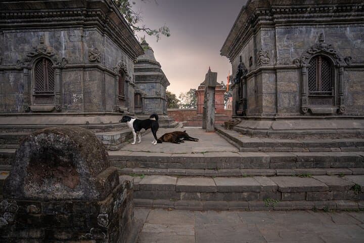 Kathmandu Private City Tour and UNESCO World Heritage Site image 6