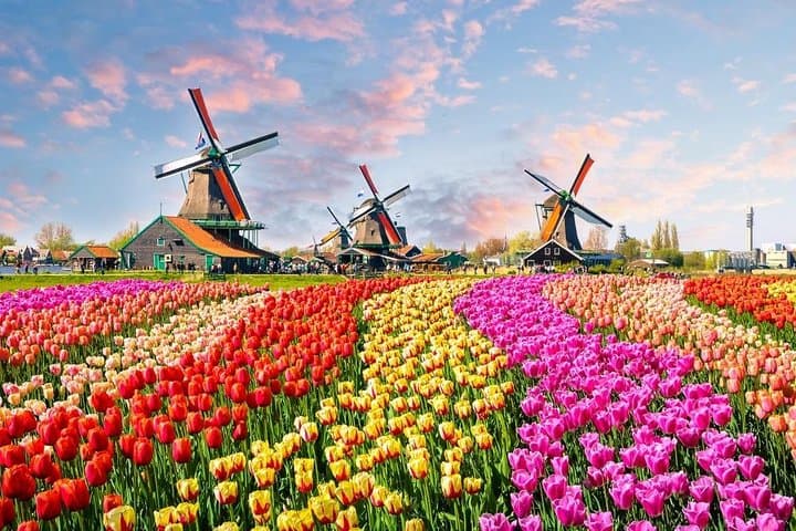 D'Amsterdam : visite privée à Zaanse Schans, Volendam et Marken image 2