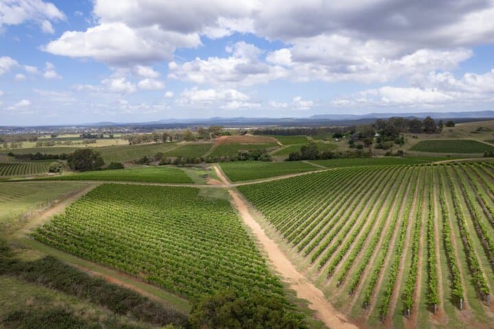 Visite privée des vins de Hunter Valley au départ de Sydney : excursion d'une journée avec dégustation image 1