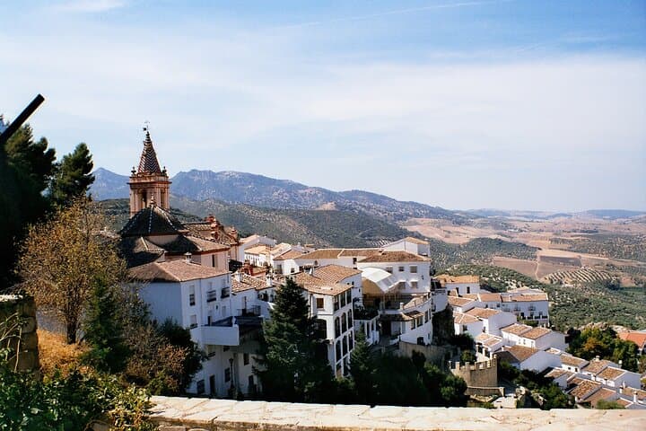 Excursión privada de un día a los pueblos blancos de Sevilla y Ronda imagen 2