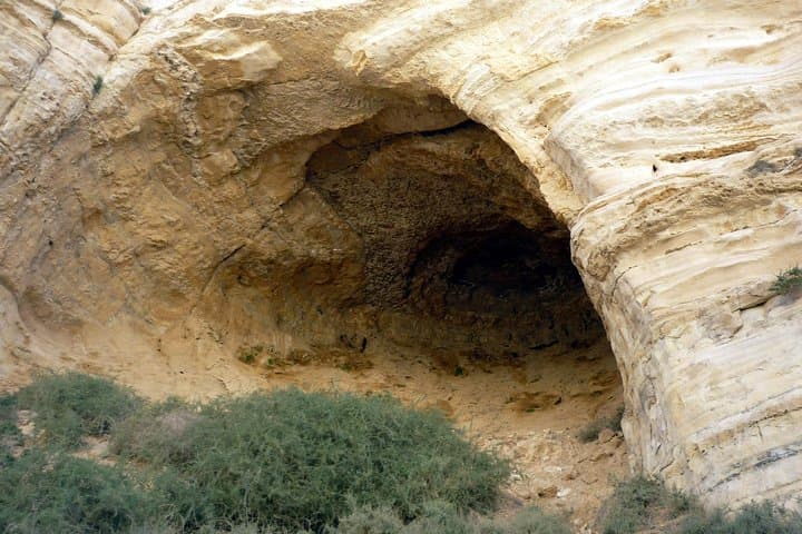 Excursion privée d'une journée à la mer Morte et à Massada depuis Tel Aviv image 5