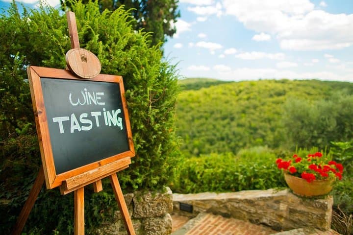 Chianti y sus castillos desde Siena con cata imagen 4
