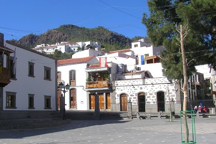 Safari Aventura: Descubre el Corazón Salvaje de Gran Canaria imagen 2