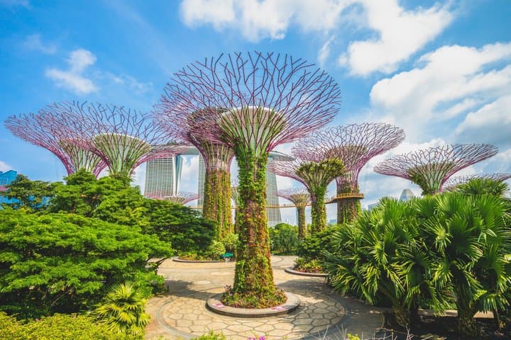 Tour privado de medio día por la ciudad de Singapur desde Airbnb Stanza Mare Beachfront foto 4