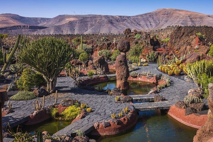 Tour privado de Lanzarote: descubre las obras maestras de César Manrique imagen 3