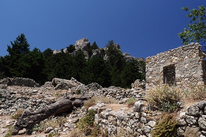 Visite privée d'une demi-journée de l'histoire et des monuments de Kos image 5