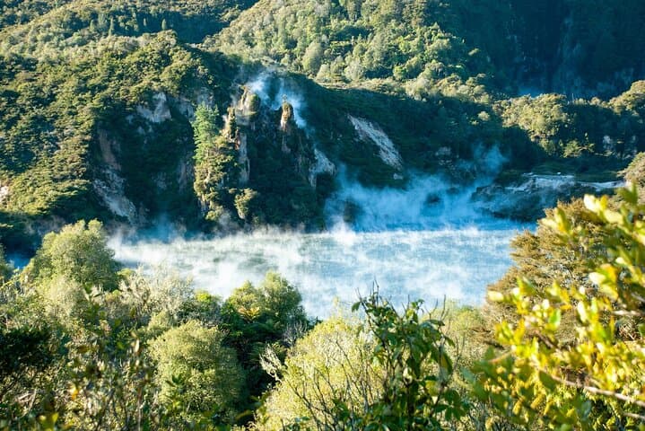 From Auckland: Wonders of Rotorua and Waitomo Tour image 6