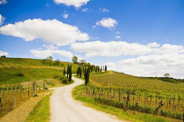 Chianti Bike Tour from Florence image 5