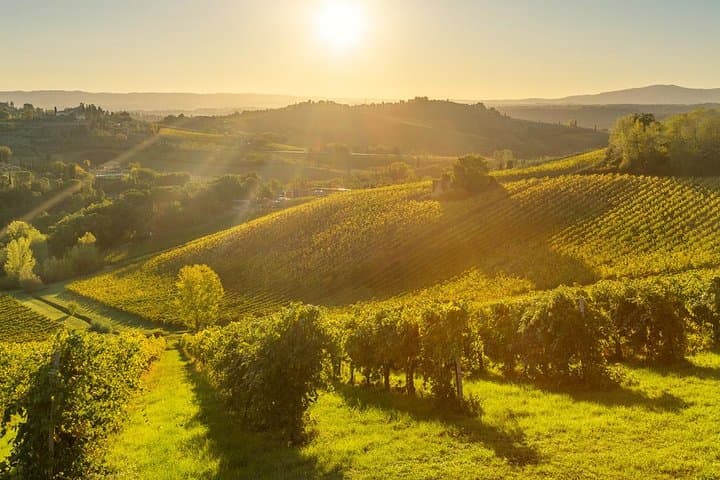 Tuscan Hills Horseback Riding Tour from Siena image 5