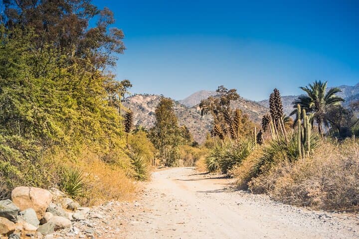 Tour Privado desde Santiago al Parque Nacional La Campana y Olmué imagen 5