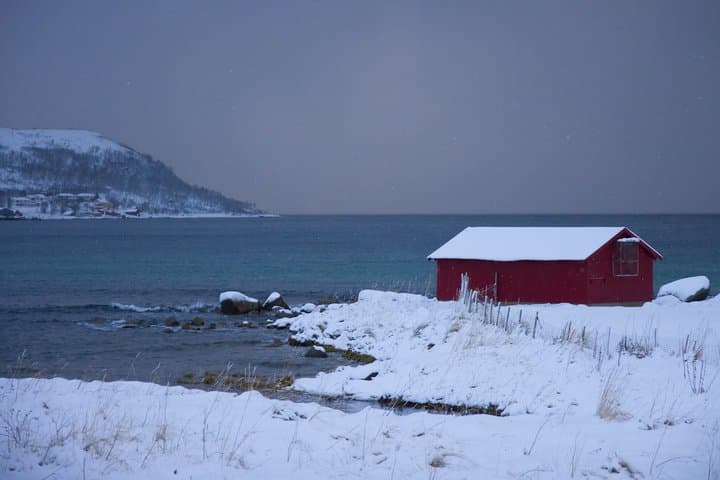 Tour panorámico privado por los fiordos de Kvaløya y Ersfjordbotn desde Tromso imagen 2