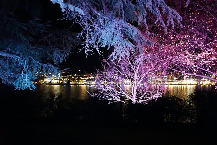Visite privée nocturne de Queenstown et au bord du lac image 6