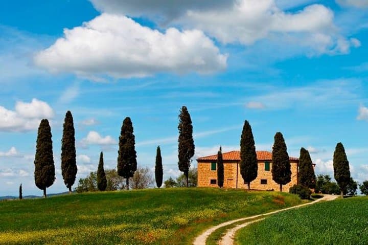 Tuscan Hills Horseback Riding Tour from Siena image 2