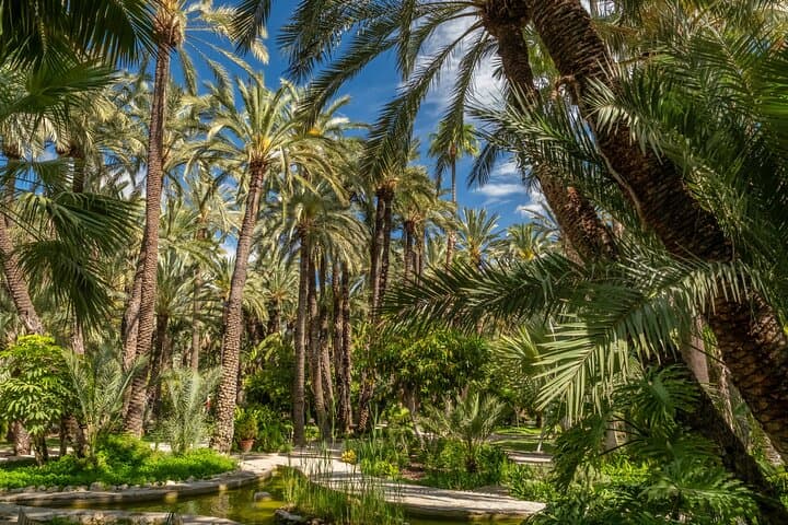 Visite privée d'une demi-journée à Elche depuis Alicante image 2