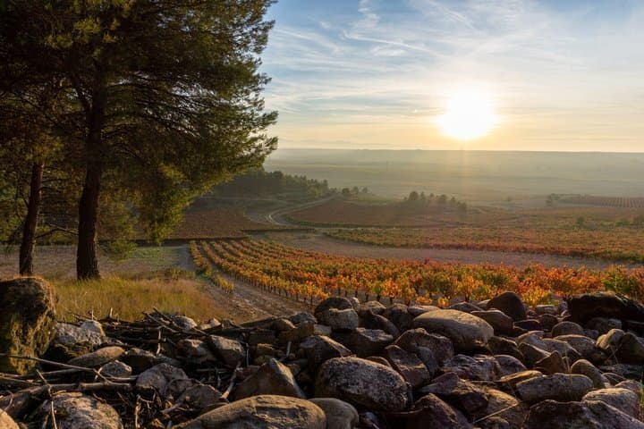 Excursión privada de un día a la región vinícola de Rioja desde Bilbao imagen 4