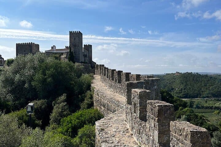 Tour privado de Lisboa, monasterio de los Jerónimos y torre de Belém desde Oporto imagen 6