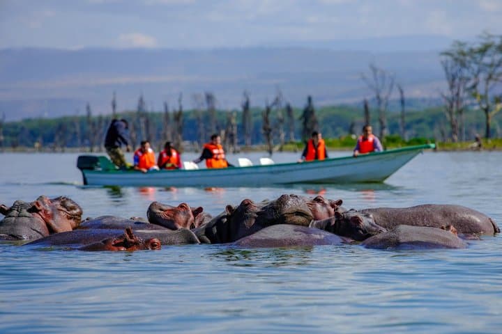 Passeio privado por la puerta del infierno del lago Naivasha en Nairobi imagen 2