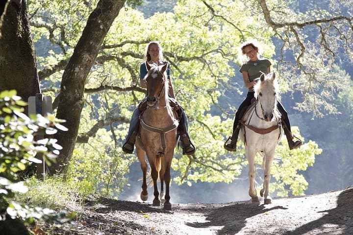 Tuscan Hills Horseback Riding Tour from Siena image 3