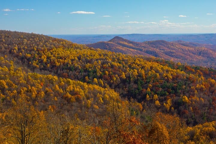 Excursion privée d'une journée à Shenandoah Skyline Drive au départ de Washington DC image 6