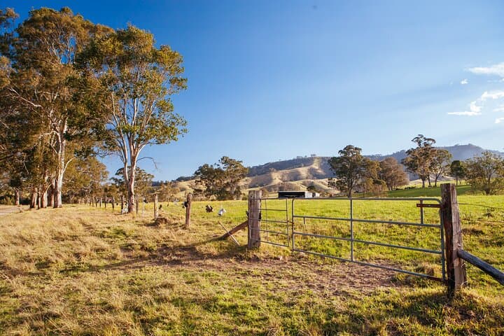 Visite privée des vins de Hunter Valley au départ de Sydney : excursion d'une journée avec dégustation image 4