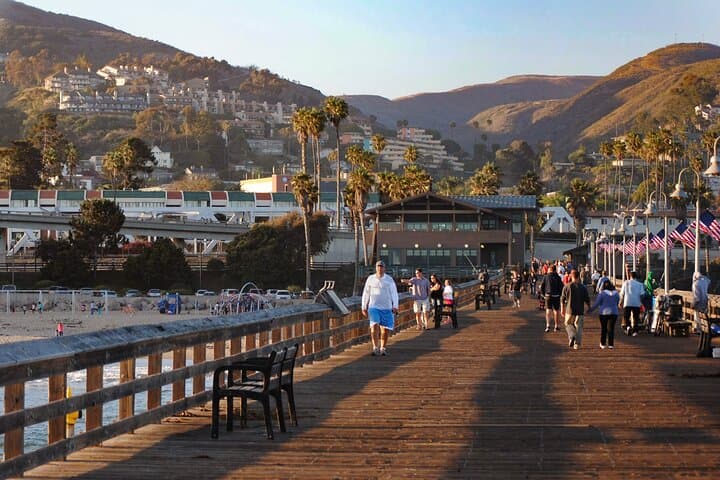 De Los Angeles à Santa Monica et Malibu : excursion privée d'une journée à terre image 5