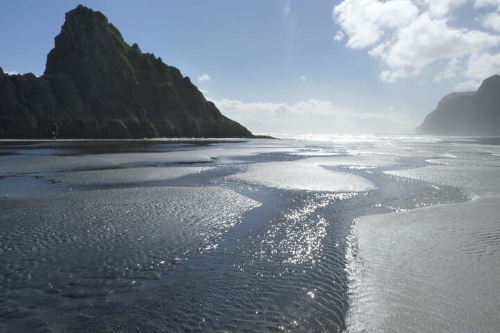 Auckland West Coast Beach and Rainforest Tour