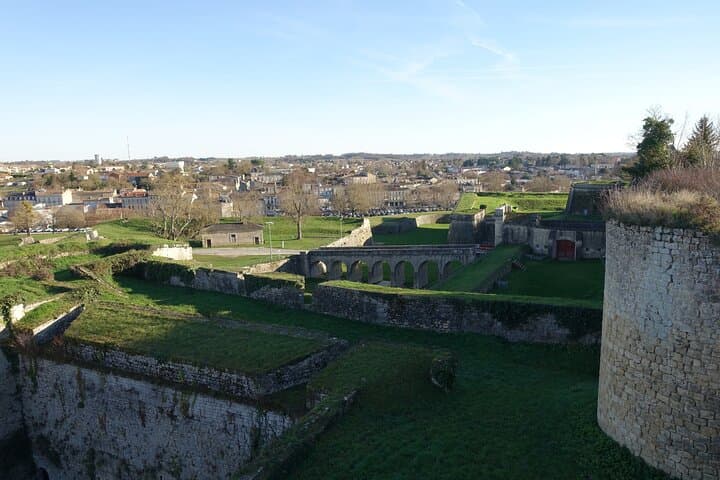 Tour privado de medio día desde Burdeos a la ciudadela de Blaye imagen 6