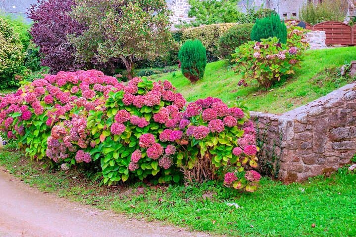 Visite privée d'une journée à la maison de Monet à Giverny depuis Paris image 5