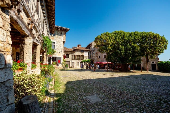 Private day trip from Lyon to the medieval village of Pérouges image 2