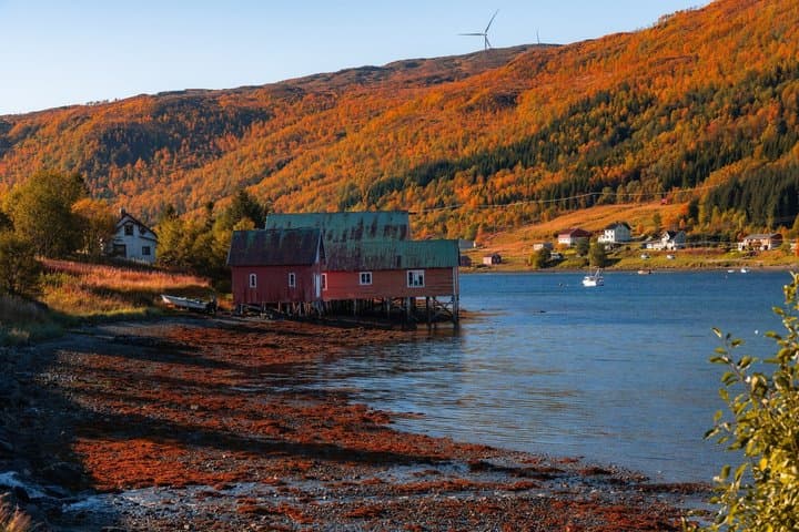 Tour panorámico privado por los fiordos de Kvaløya y Ersfjordbotn desde Tromso imagen 5